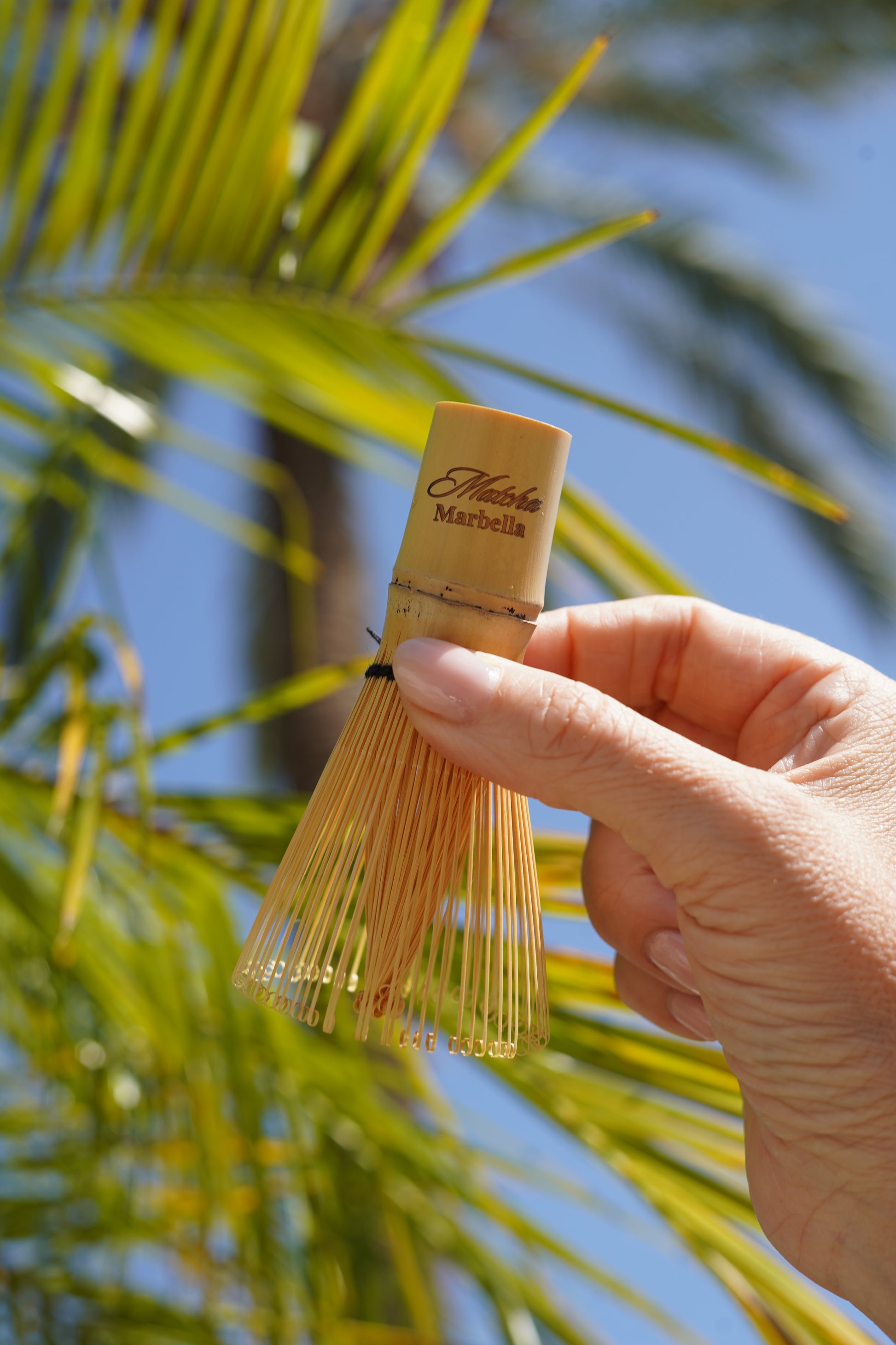 Matcha whisk