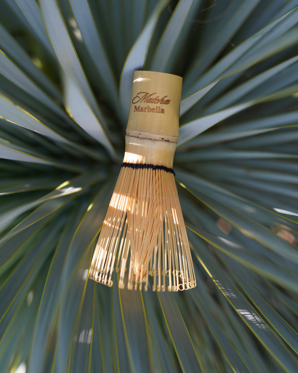 Matcha whisk